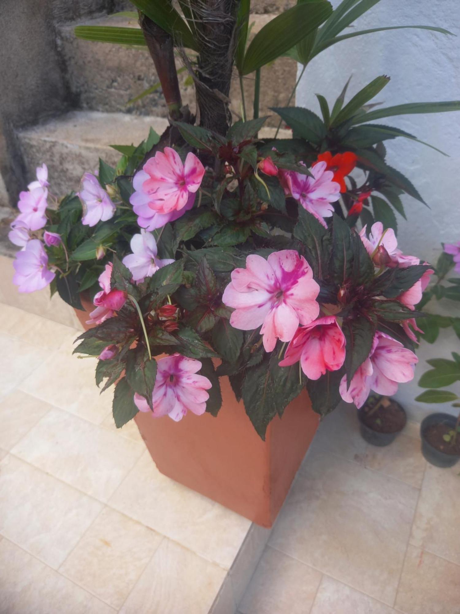 Suites Mathias Flat Conservatória Dış mekan fotoğraf