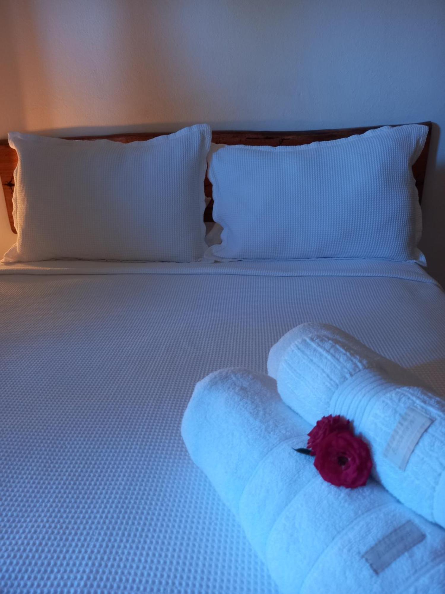 Suites Mathias Flat Conservatória Dış mekan fotoğraf